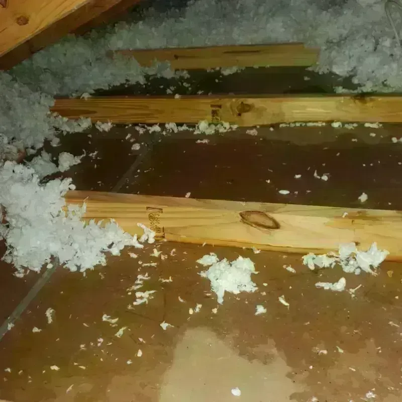 Attic Water Damage in Orem, UT